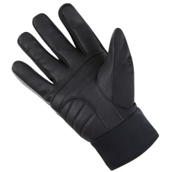 C5 Gore-Tex Thermo Gloves