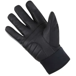 C5 Gore-Tex Thermo Gloves