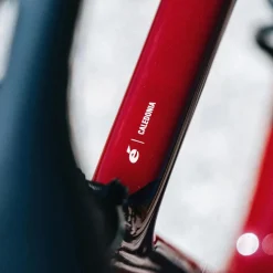 Caledonia 105 Di2 Road Bike 2025