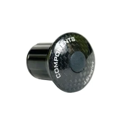 Carbon fork expander 1 1/8 inch