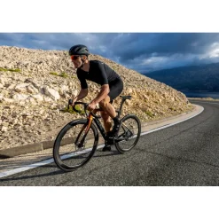 Dogma F Frameset 2025