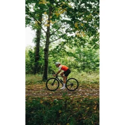 Roubaix SL8 Disc Road Bike 2025