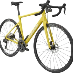 Synapse Carbon 2 LE Disc Road Bike 2024