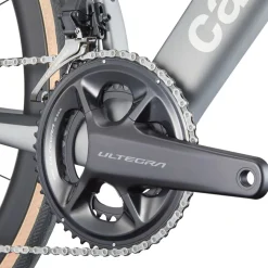 Synapse Carbon 2 Road Bike