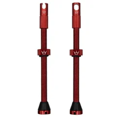 x Chris King (MK2) Long Tubeless Valves